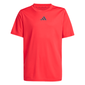 Conjunto-Remera-y-Shorts-Train-Essentials